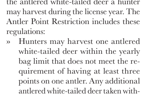 the highlighted excerpt of page 22