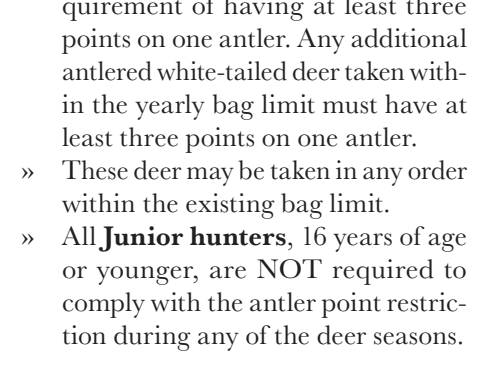the highlighted excerpt of page 22