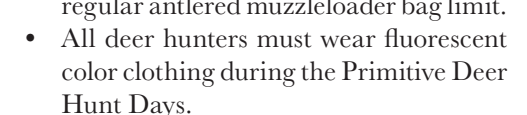 the highlighted excerpt of page 22