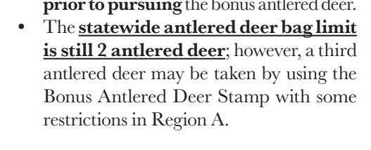 the highlighted excerpt of page 22