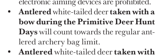 the highlighted excerpt of page 22