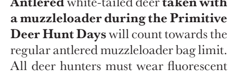 the highlighted excerpt of page 22