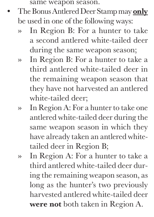 the highlighted excerpt of page 23