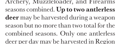 the highlighted excerpt of page 23