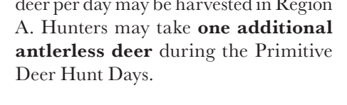 the highlighted excerpt of page 23