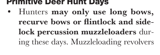 the highlighted excerpt of page 23