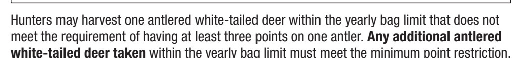 the highlighted excerpt of page 23