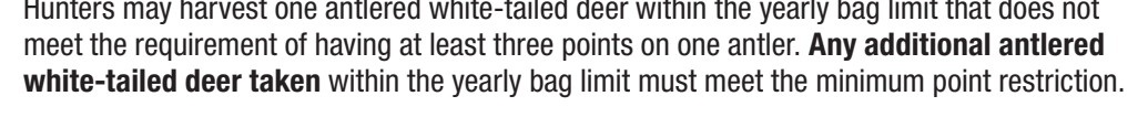 the highlighted excerpt of page 23