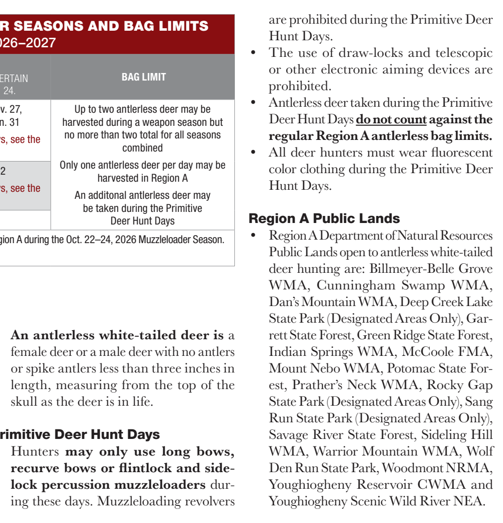 the highlighted excerpt of page 23