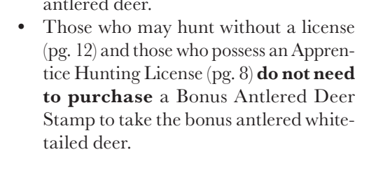 the highlighted excerpt of page 23