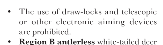the highlighted excerpt of page 24