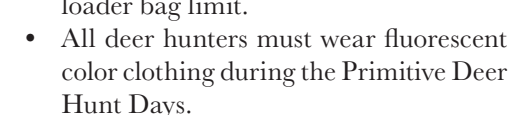 the highlighted excerpt of page 24
