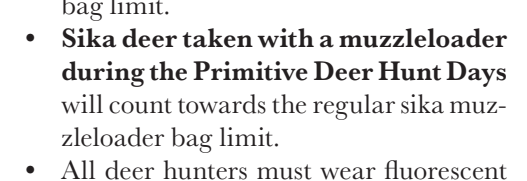 the highlighted excerpt of page 25