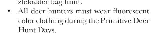 the highlighted excerpt of page 25