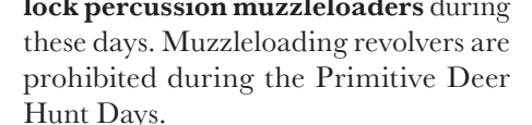 the highlighted excerpt of page 25