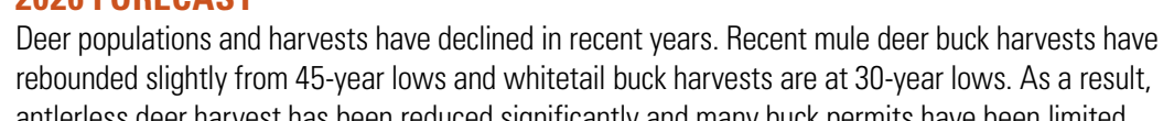 the highlighted excerpt of page 11