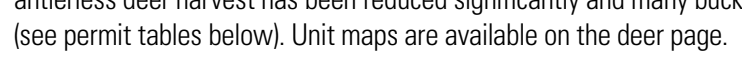 the highlighted excerpt of page 11