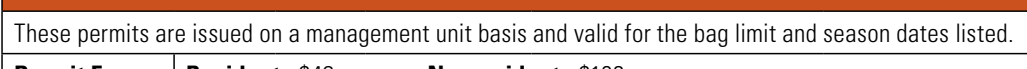 the highlighted excerpt of page 17
