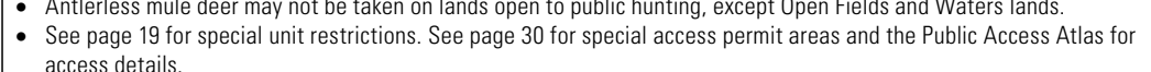 the highlighted excerpt of page 17