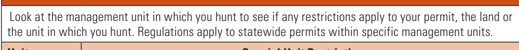 the highlighted excerpt of page 19