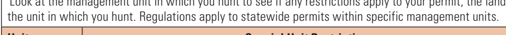 the highlighted excerpt of page 19