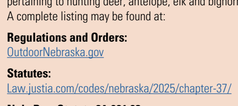the highlighted excerpt of page 3