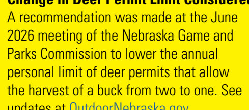 the highlighted excerpt of page 4