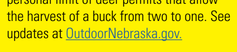 the highlighted excerpt of page 4