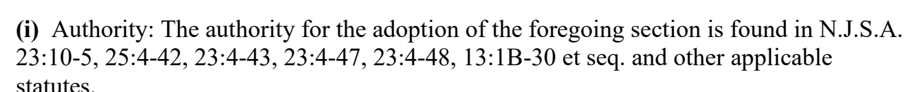 the highlighted excerpt of page 205