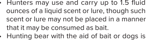 the highlighted excerpt of page 19