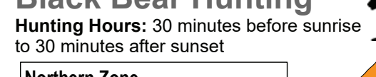 the highlighted excerpt of page 19