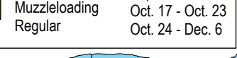 the highlighted excerpt of page 19