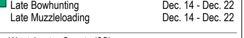 the highlighted excerpt of page 19