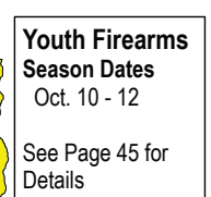 the highlighted excerpt of page 19