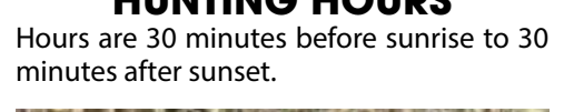 the highlighted excerpt of page 6