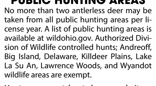 the highlighted excerpt of page 6