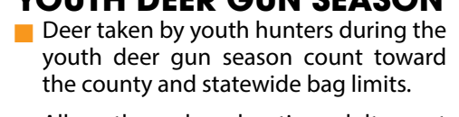 the highlighted excerpt of page 6