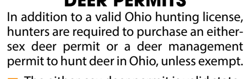 the highlighted excerpt of page 6