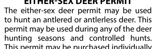 the highlighted excerpt of page 6