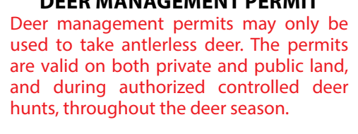 the highlighted excerpt of page 6