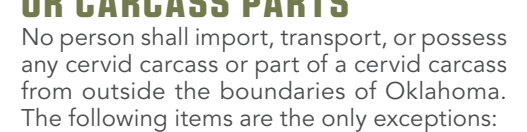 the highlighted excerpt of page 38