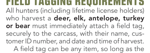 the highlighted excerpt of page 38