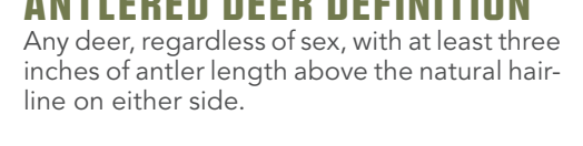 the highlighted excerpt of page 38