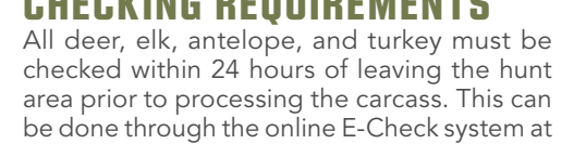 the highlighted excerpt of page 38