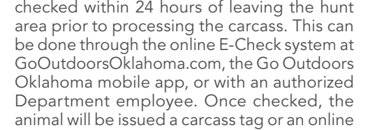 the highlighted excerpt of page 38