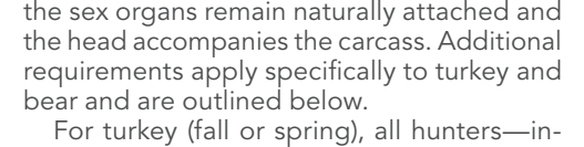 the highlighted excerpt of page 38