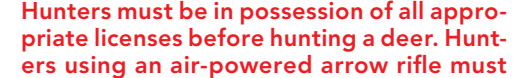 the highlighted excerpt of page 38