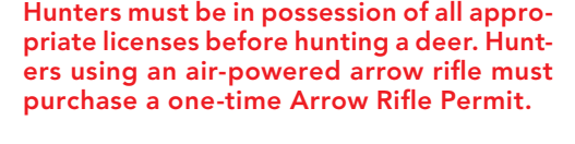 the highlighted excerpt of page 38