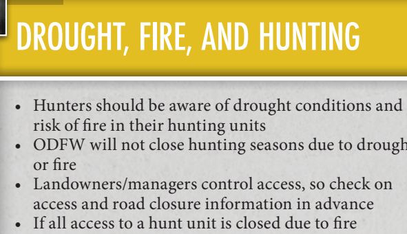 the highlighted excerpt of page 34
