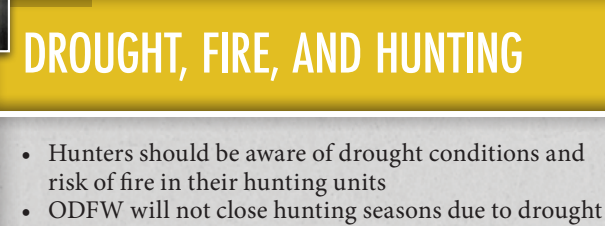 the highlighted excerpt of page 34